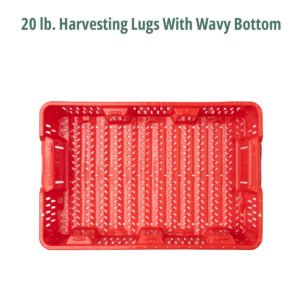 20 lb. Harvesting Lugs With Wavy Bottom
