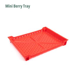 Mini Berry Tray