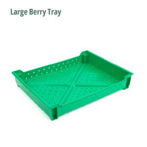 Large Berry Tray