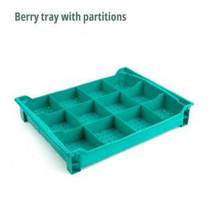 Berry tray with partitions