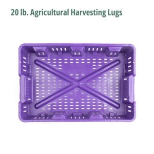 20 lb. Agricultural Harvesting Lugs